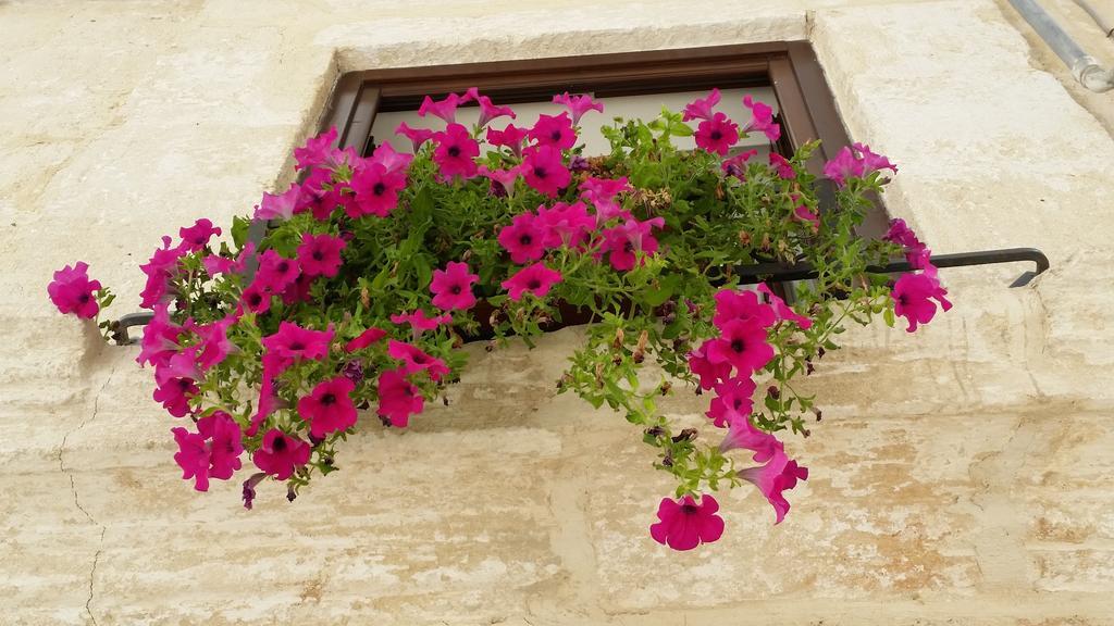 Appartamento Borgo Antico Monopoli Esterno foto